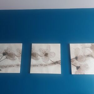 Set Of Three Floral Canvas Wall Art - 22 Inches Wide Each